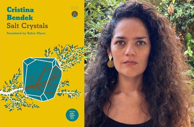 Left: Cover of the book Salt Crystals, a yellow cover with a blue crystal lying over a tree branch. Right: Portrait of Cristina Bendek, with long curly brown hair and large gold earrings.