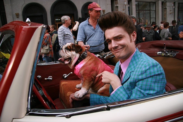 A man with a blue plaid suit jacket and a large pompadour sits in the driver's seat of a red and white convertible. He points to a bulldog sitting next to him, who is dyed pink.