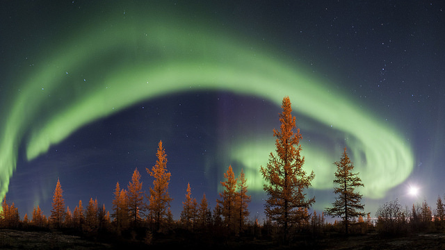 Northern lights